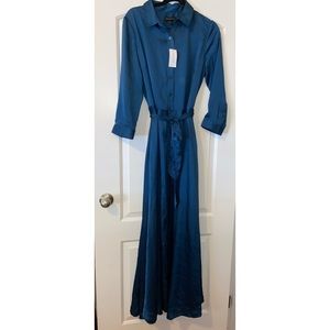 Blue Long Sleeve Maxi Dress